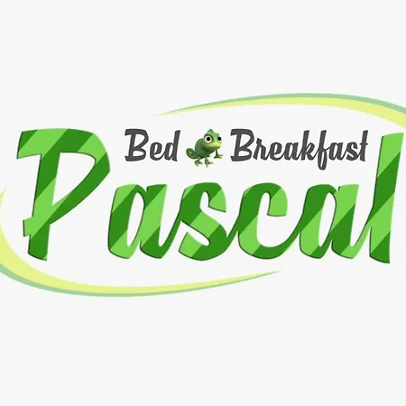 B&B Pascal-3